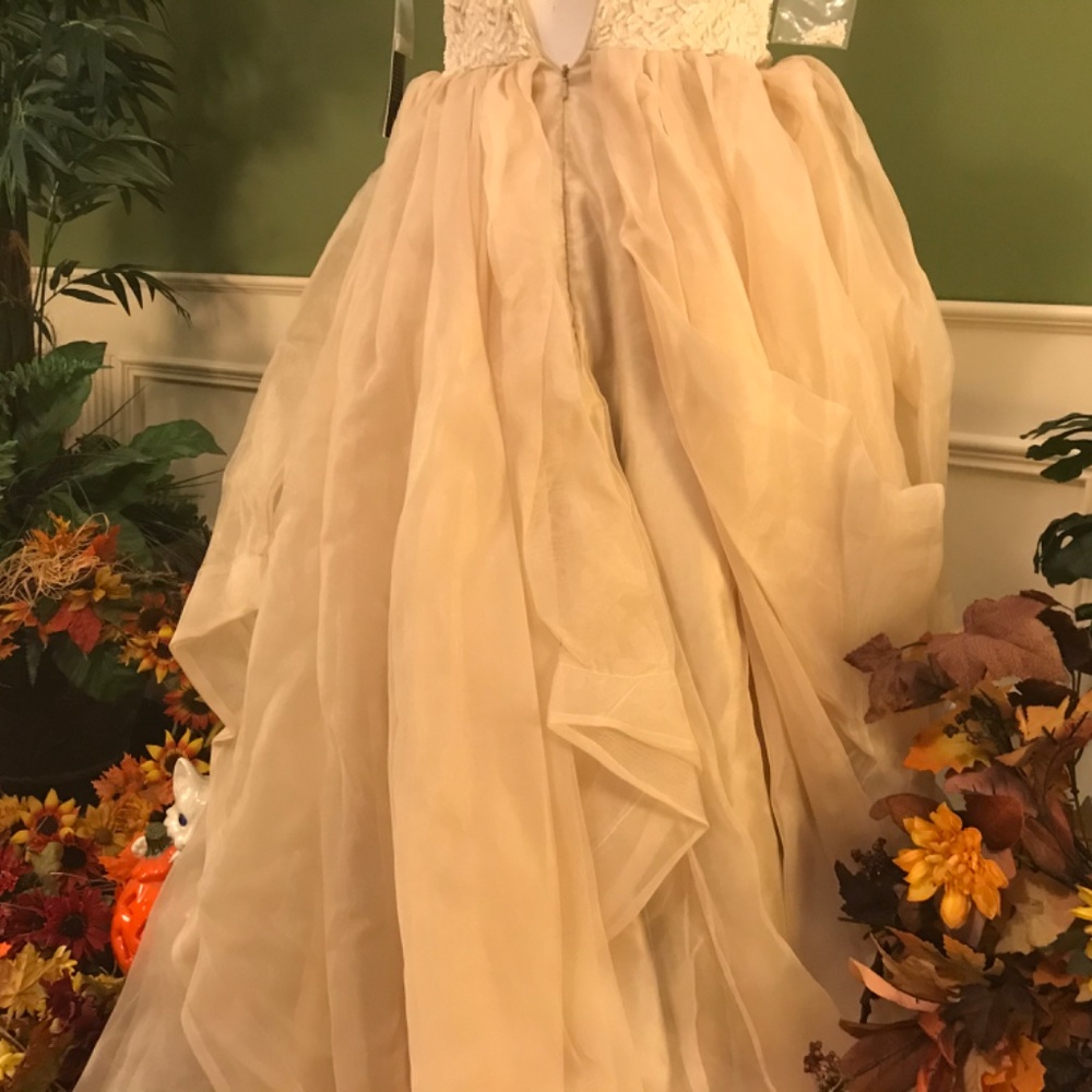 Formal evening Ball gown dress - Picture 9 of 11